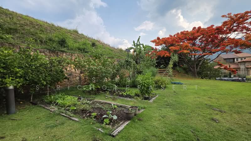 Toscana Valley, Nakhon Ratchasima, 2, Moo 11, Ban Noen Thong, Pong Ta Long, Pak Chong, Nakhon Ratchasima, 4 Bedrooms, 600 sqm, Single Detached House For Sale, by Saksri Sirichokprasert , 500342210 - DDproperty.com