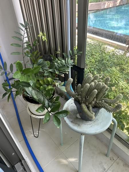 Ease 2 Rama 2, Bangkok, Soi Rama 2 54, Rama 2 Road, Samae Dam, Bang Khun Thian, Bangkok, 1 Bedroom, 33 sqm, Condo For Rent, by Thiya Chaysabut, 500342281 - DDproperty.com