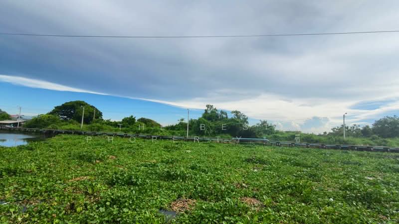 ที่ดินบางบ่อ สมุทรปราการ, Samut Prakan, Ban Rakat, Bang Bo, Samut Prakan, , 79,480 sqm, Land For Sale, by The Best Property ซี, 500342367 - DDproperty.com