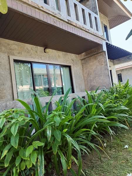 minihome extra, Chiang Mai, San Na Moeng, San Sai, Chiang Mai, 3 Bedrooms, 130 sqm, Single Detached House For Sale, by Shori Asset Group Co., Ltd., 500342388 - DDproperty.com