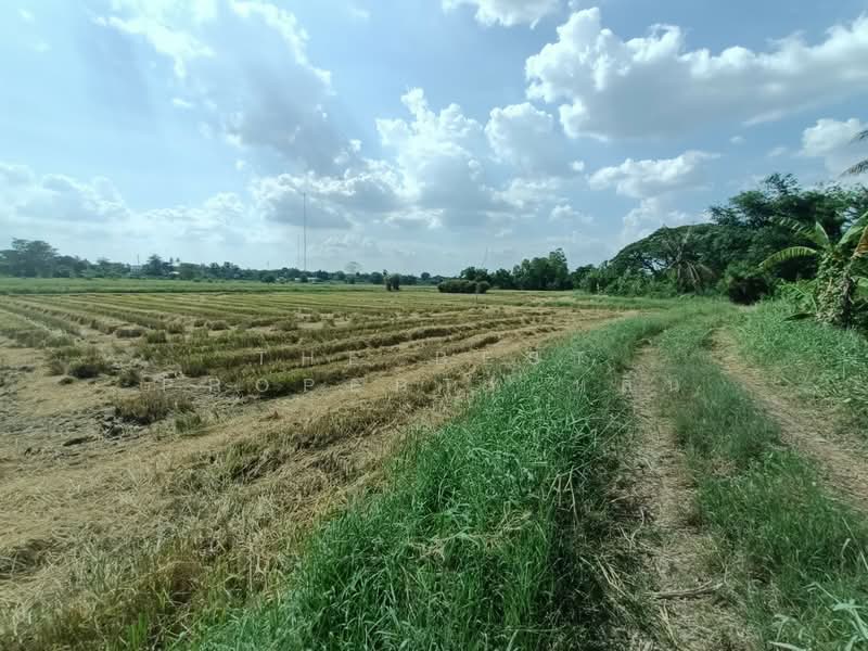 ที่ดินบ้านใหม่ นครราชสีมา, Nakhon Ratchasima, Ban Mai, Muang Nakhon Ratchasima, Nakhon Ratchasima, , 12,564 sqm, Land For Sale, by The Best Property หลิน, 500342560 - DDproperty.com