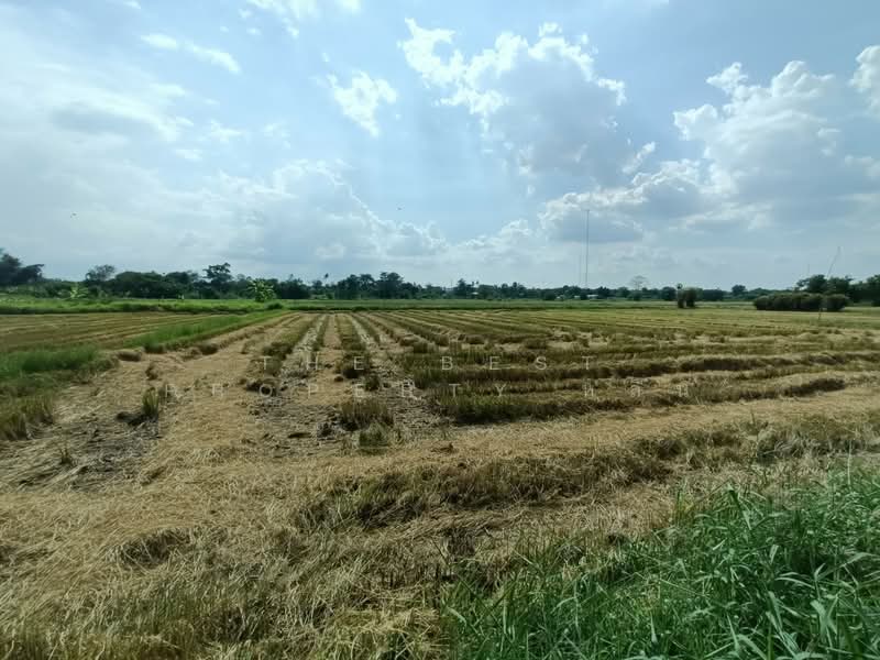 ที่ดินบ้านใหม่ นครราชสีมา, Nakhon Ratchasima, Ban Mai, Muang Nakhon Ratchasima, Nakhon Ratchasima, , 12,564 sqm, Land For Sale, by The Best Property หลิน, 500342560 - DDproperty.com