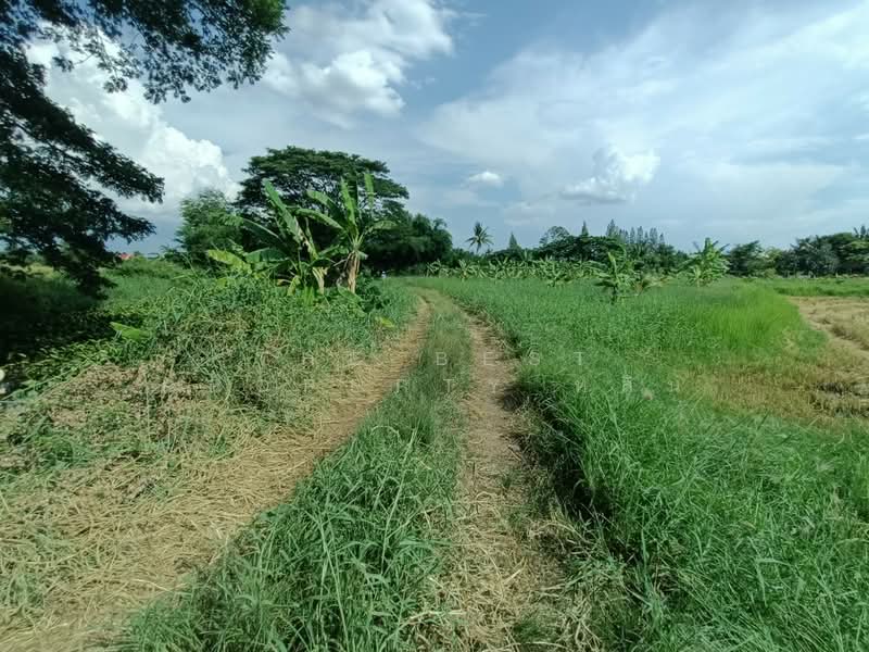ที่ดินบ้านใหม่ นครราชสีมา, Nakhon Ratchasima, Ban Mai, Muang Nakhon Ratchasima, Nakhon Ratchasima, , 12,564 sqm, Land For Sale, by The Best Property หลิน, 500342560 - DDproperty.com