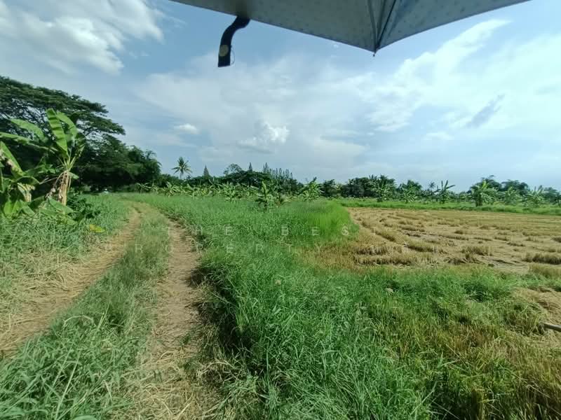 ที่ดินบ้านใหม่ นครราชสีมา, Nakhon Ratchasima, Ban Mai, Muang Nakhon Ratchasima, Nakhon Ratchasima, , 12,564 sqm, Land For Sale, by The Best Property หลิน, 500342560 - DDproperty.com