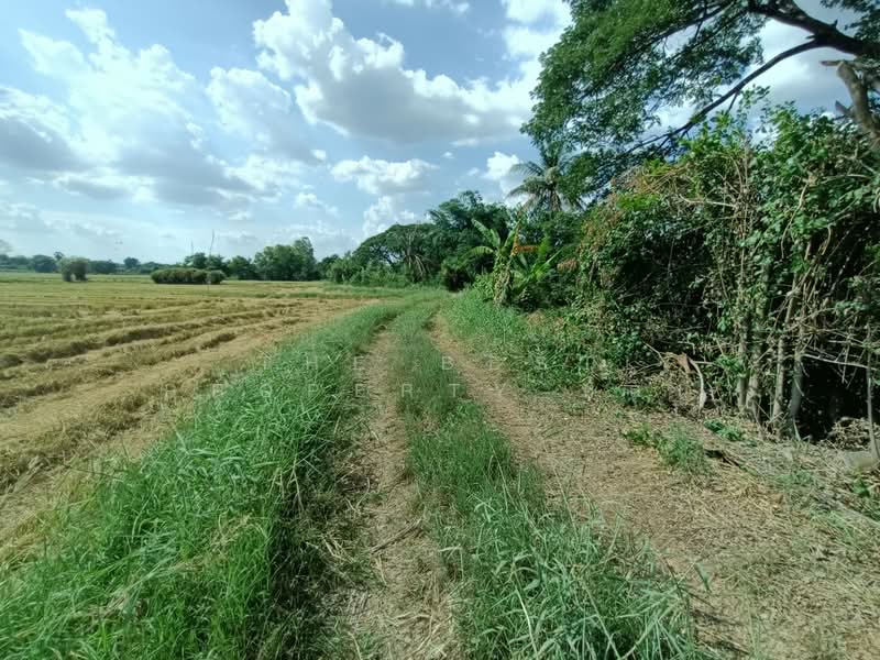 ที่ดินบ้านใหม่ นครราชสีมา, Nakhon Ratchasima, Ban Mai, Muang Nakhon Ratchasima, Nakhon Ratchasima, , 12,564 sqm, Land For Sale, by The Best Property หลิน, 500342560 - DDproperty.com