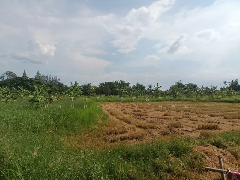 ที่ดินบ้านใหม่ นครราชสีมา, Nakhon Ratchasima, Ban Mai, Muang Nakhon Ratchasima, Nakhon Ratchasima, , 12,564 sqm, Land For Sale, by The Best Property หลิน, 500342560 - DDproperty.com