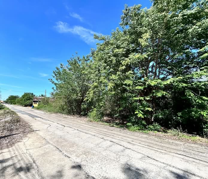 ที่ดินบางเลน นครปฐม, Nakhon Pathom, Bang Phasi, Bang Len, Nakhon Pathom, , 392 sqm, Land For Sale, by The Best Property กุ้งแก้ว, 500342810 - DDproperty.com
