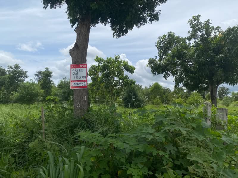 ที่ดินสีคิ้ว นครราชสีมา, Nakhon Ratchasima, Nong Ya Khao, Sikhiu, Nakhon Ratchasima, , 2,800 sqm, Land For Sale, by The Best Property จุ๋ม, 500342837 - DDproperty.com