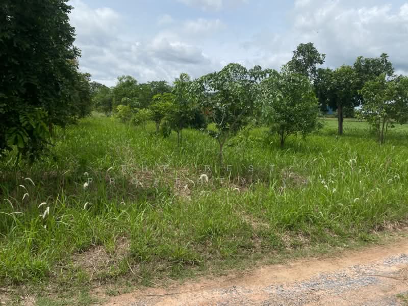 ที่ดินสีคิ้ว นครราชสีมา, Nakhon Ratchasima, Nong Ya Khao, Sikhiu, Nakhon Ratchasima, , 2,800 sqm, Land For Sale, by The Best Property จุ๋ม, 500342837 - DDproperty.com