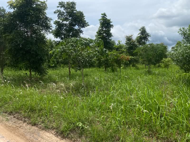 ที่ดินสีคิ้ว นครราชสีมา, Nakhon Ratchasima, Nong Ya Khao, Sikhiu, Nakhon Ratchasima, , 2,800 sqm, Land For Sale, by The Best Property จุ๋ม, 500342837 - DDproperty.com