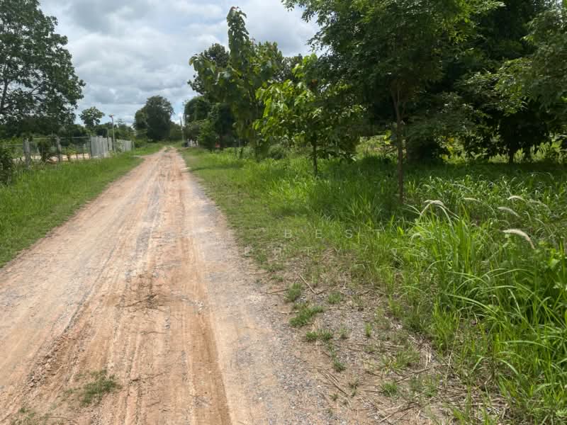 ที่ดินสีคิ้ว นครราชสีมา, Nakhon Ratchasima, Nong Ya Khao, Sikhiu, Nakhon Ratchasima, , 2,800 sqm, Land For Sale, by The Best Property จุ๋ม, 500342837 - DDproperty.com