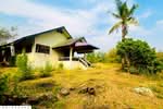 ที่ดินมะเขือแจ้ 3 ไร่ 390 ตร.ว. เมืองลำพูน ใกล้ศาลจังหวัดลำพูน DD-095409, ลำพูน