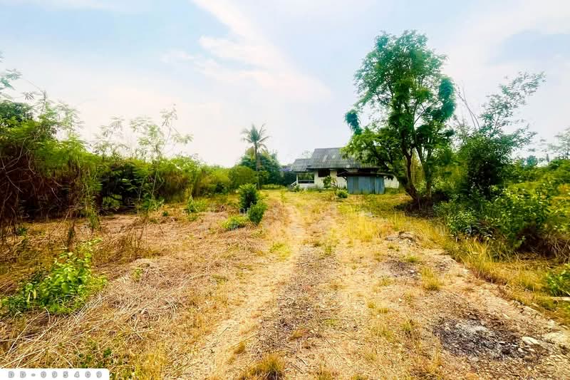 Land for sale in Makham Chae, Mueang Lamphun, 3 Rai 390 Sq.Wa, DD-095409, Lamphun, Ma-khua Chae, Muang Lamphun, Lamphun, , 6,360 sqm, Land For Sale, by Benchawarin Pakkawetppisit, 500342863 - DDproperty.com