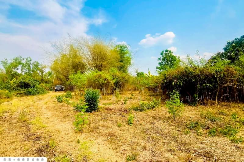 ที่ดินมะเขือแจ้ 3 ไร่ 390 ตร.ว. เมืองลำพูน ใกล้ศาลจังหวัดลำพูน DD-095409, ลำพูน, มะเขือแจ้, เมืองลำพูน, ลำพูน, 6,360 ตร.ม., ที่ดิน ขาย, โดย เบ็ญจวริณ ภัคเวทพิสิษฐ์(เบ็ญ), 500342863 - DDproperty.com