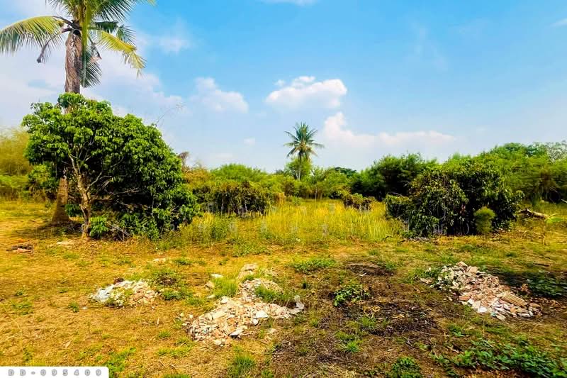 ที่ดินมะเขือแจ้ 3 ไร่ 390 ตร.ว. เมืองลำพูน ใกล้ศาลจังหวัดลำพูน DD-095409, ลำพูน, มะเขือแจ้, เมืองลำพูน, ลำพูน, 6,360 ตร.ม., ที่ดิน ขาย, โดย เบ็ญจวริณ ภัคเวทพิสิษฐ์(เบ็ญ), 500342863 - DDproperty.com