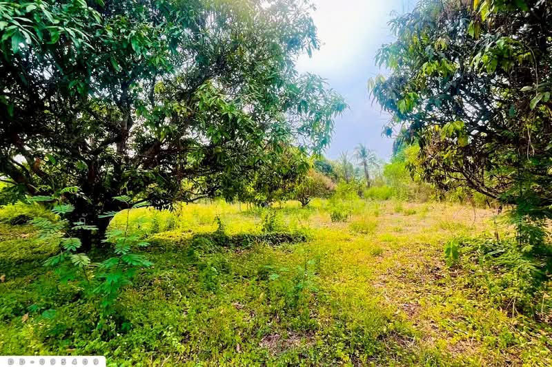 Land for sale in Makham Chae, Mueang Lamphun, 3 Rai 390 Sq.Wa, DD-095409, Lamphun, Ma-khua Chae, Muang Lamphun, Lamphun, , 6,360 sqm, Land For Sale, by Benchawarin Pakkawetppisit, 500342863 - DDproperty.com