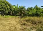 ที่ดินลาดยาว นครสวรรค์, นครสวรรค์