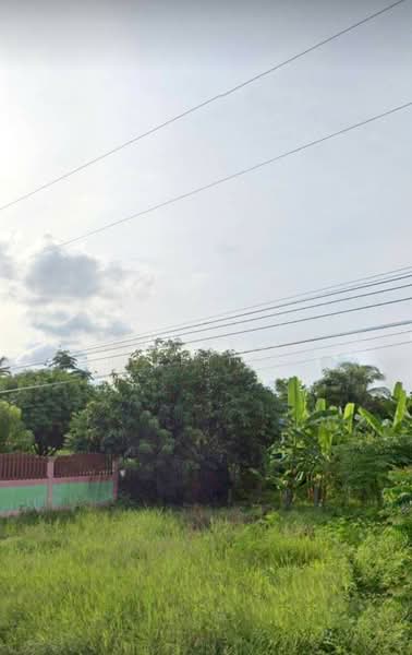 ที่ดินลาดยาว นครสวรรค์, นครสวรรค์, ห้วยน้ำหอม, ลาดยาว, นครสวรรค์, 1,156 ตร.ม., ที่ดิน ขาย, โดย The Best Property เอก, 500342946 - DDproperty.com
