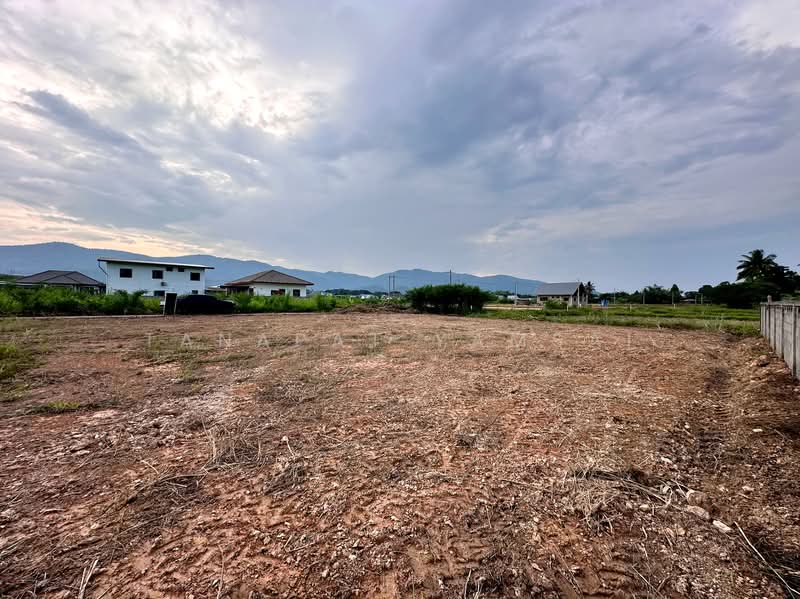 Chiangrai, Chiang Rai, พหลโยธิน, Tha Sud, Muang Chiang Rai, Chiang Rai, , 800 sqm, Land For Sale, by Tanapat Yamsai, 500342975 - DDproperty.com