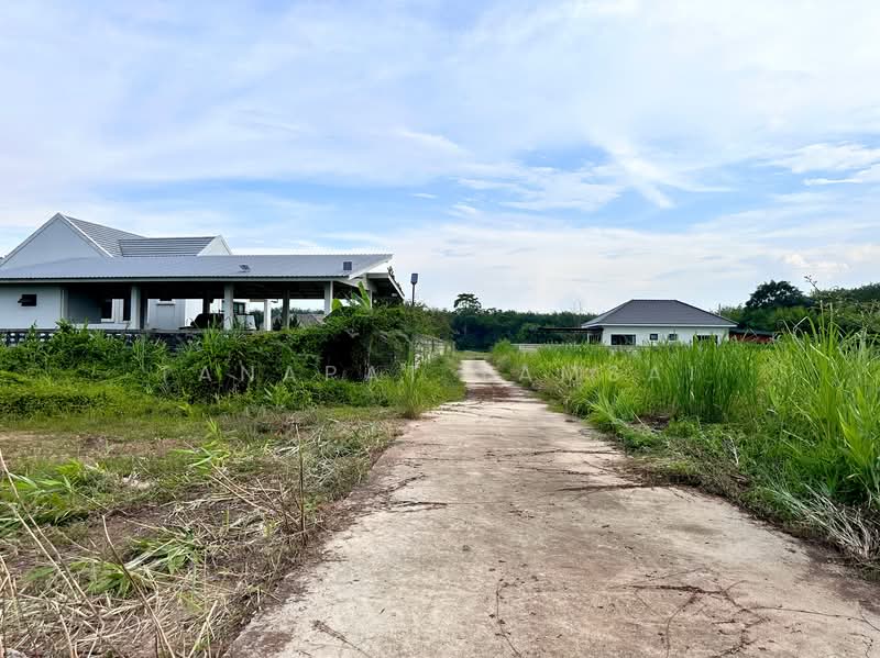 Chiangrai, Chiang Rai, พหลโยธิน, Tha Sud, Muang Chiang Rai, Chiang Rai, , 800 sqm, Land For Sale, by Tanapat Yamsai, 500342975 - DDproperty.com
