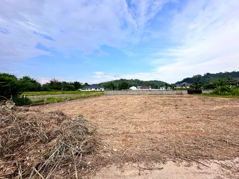 Chiangrai, Chiang Rai, พหลโยธิน, Tha Sud, Muang Chiang Rai, Chiang Rai, , 800 sqm, Land For Sale, by Tanapat Yamsai, 500342975 - DDproperty.com