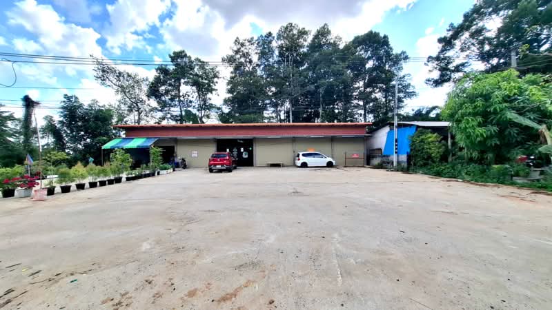 ห้องแถวจังหาร ร้อยเอ็ด, Roi Et, Chang Han, Roi Et, , 100 sqm, Business For Sale, by The Best Property ทองใบ, 500343040 - DDproperty.com