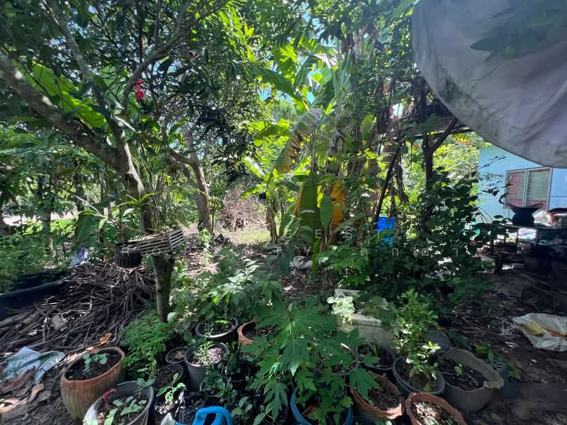 บ้านเดี่ยวพร้อมที่ดินเกาะจันทร์ ชลบุรี, Chon Buri (Pattaya), Tha Bunmi, Ko Chan, Chon Buri (Pattaya), 2 Bedrooms, 150 sqm, Single Detached House For Sale, by The Best Property ตุ๊กตา, 500343062 - DDproperty.com