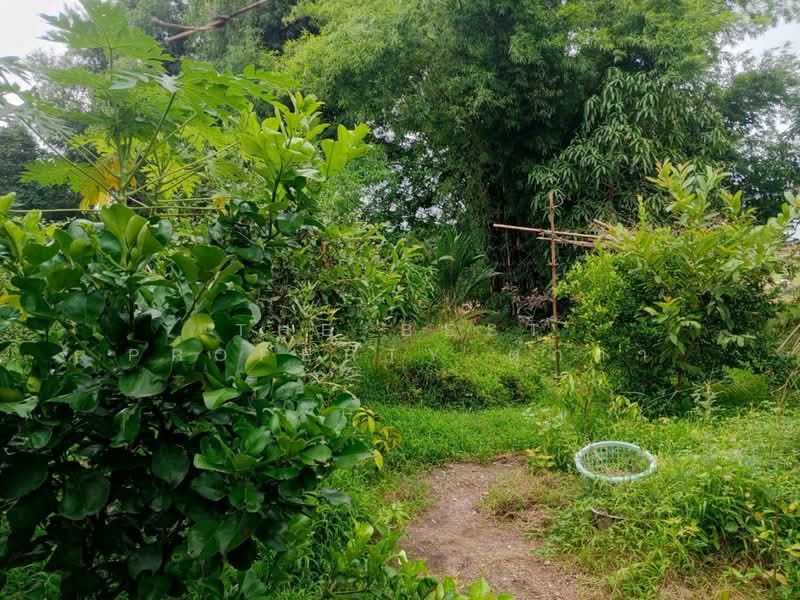 บ้านเดี่ยวพร้อมที่ดินเกาะจันทร์ ชลบุรี, Chon Buri (Pattaya), Tha Bunmi, Ko Chan, Chon Buri (Pattaya), 2 Bedrooms, 150 sqm, Single Detached House For Sale, by The Best Property ตุ๊กตา, 500343062 - DDproperty.com