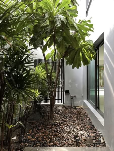 Pool Villa on Sukhumvit 49, กรุงเทพ, คลองตันเหนือ, วัฒนา, กรุงเทพ, 430 ตร.ม., บ้านเดี่ยว ให้เช่า, โดย Usuma Usumachat, 500343354 - DDproperty.com