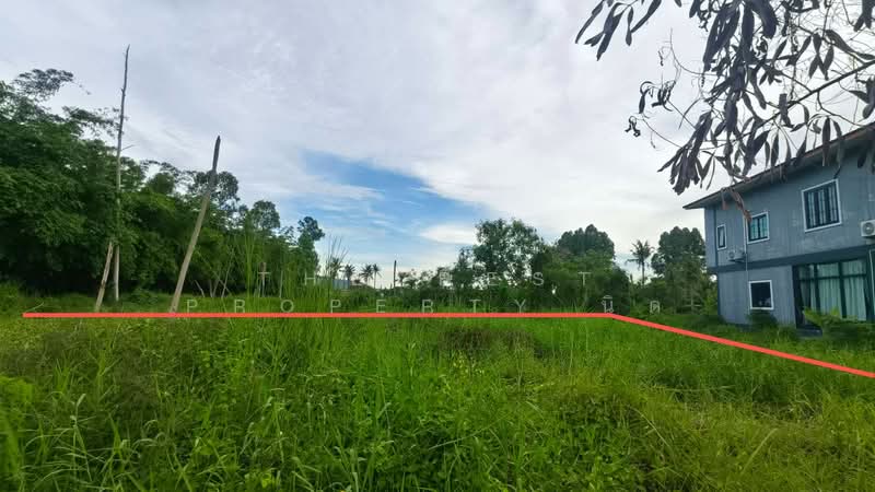 ที่ดินบ้านบึง ชลบุรี, Chon Buri (Pattaya), Khlong Kiu, Ban Bung, Chon Buri (Pattaya), , 724 sqm, Land For Sale, by The Best Property นิด, 500343371 - DDproperty.com