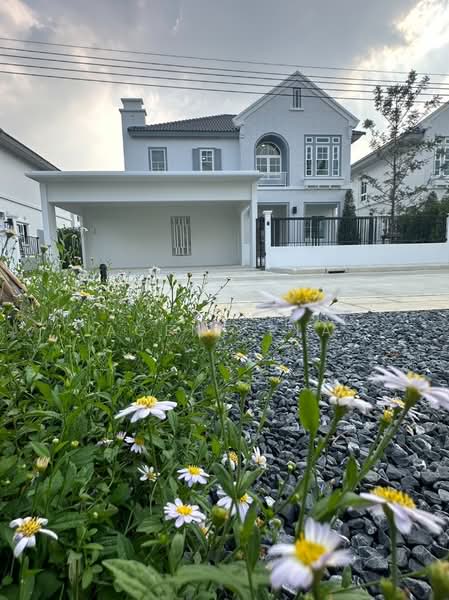 Villaggio 3 Srinakarin-Bangna, Samut Prakan, Bang Kaeo, Bang Plee, Samut Prakan, 4 Bedrooms, 227 sqm, Single Detached House For Rent, by Agent Pla, 500343496 - DDproperty.com