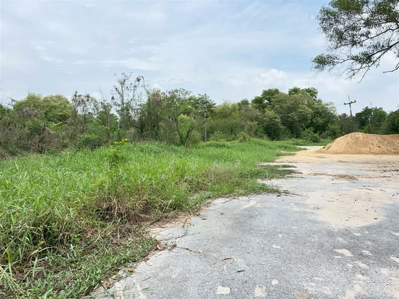 ที่ดินเปล่า 843 ตร.ว. ที่ดิน ซอยลำลูกกา223 ใกล้สนามกอล์ฟลำลูกกาคันทรี่คลับ, ปทุมธานี, ถนนลำลูกกา, ลำไทร, ลำลูกกา, ปทุมธานี, 3,372 ตร.ม., ที่ดิน ขาย, โดย คุณ ธัญพิสิษฐ์ จิตประพัฒน์ (โซน), 500343503 - DDproperty.com