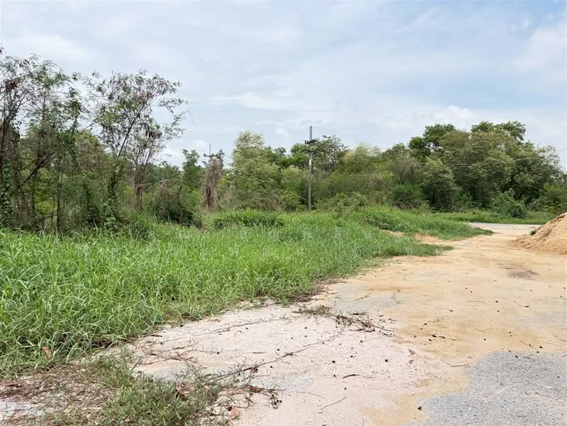 ที่ดินเปล่า 843 ตร.ว. ที่ดิน ซอยลำลูกกา223 ใกล้สนามกอล์ฟลำลูกกาคันทรี่คลับ, Pathum Thani, ถนนลำลูกกา, Lam Sai, Lam Luk Ka, Pathum Thani, , 3,372 sqm, Land For Sale, by คุณ ธัญพิสิษฐ์ จิตประพัฒน์ (โซน), 500343503 - DDproperty.com