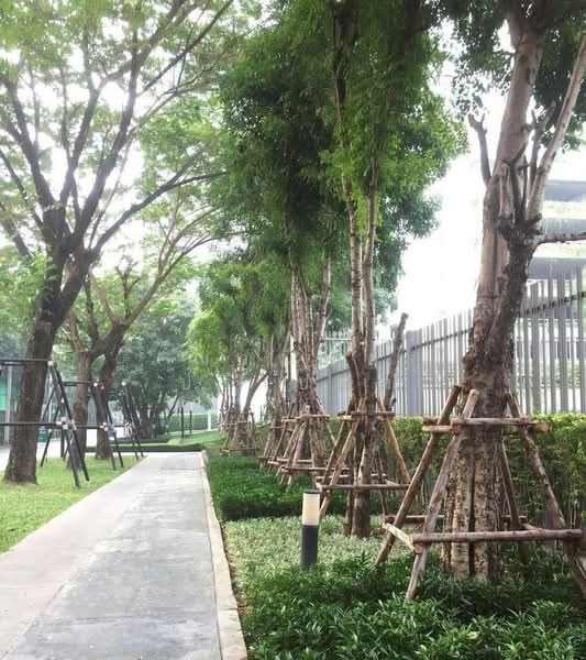 Aspire Rattanathibet 2, Nonthaburi, 185 Rattanathibet Road, Bang Kra So, Muang Nonthaburi, Nonthaburi, 1 Bedroom, 25 sqm, Condo For Sale, by ฌาณิภัค ปรีเปรม, 500343814 - DDproperty.com