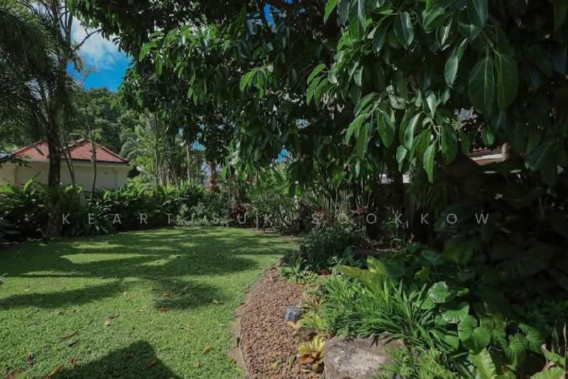 Sai Taan Villas : สายธาร วิลล่า, ภูเก็ต, 99 50 เชิงทะเล, เชิงทะเล, ถลาง, ภูเก็ต, 430 ตร.ม., วิลล่า ให้เช่า, โดย Keartisuk Sookkow, 500343861 - DDproperty.com