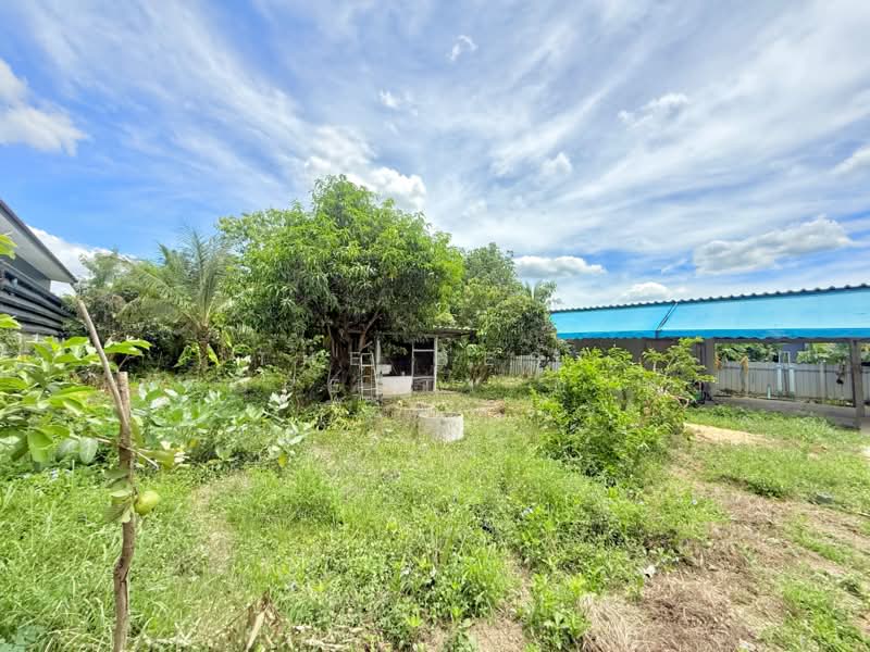 บ้านเดี่ยวโพธาราม ราชบุรี, Ratchaburi, Don Krabuang, Photharam, Ratchaburi, 2 Bedrooms, 148 sqm, Single Detached House For Sale, by The Best Property ดาด้า, 500343914 - DDproperty.com