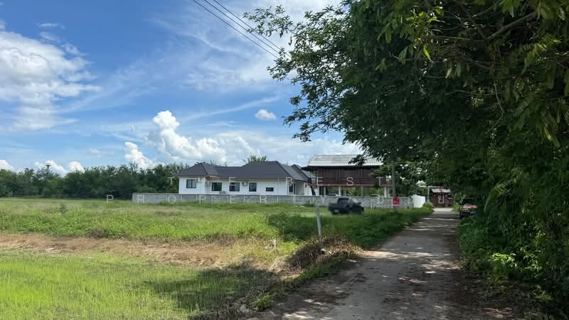ที่ดินบ้านแป้น ลำพูน, Lamphun, Ban Paen, Muang Lamphun, Lamphun, , 3,200 sqm, Land For Sale, by The Best Property บอย, 500343944 - DDproperty.com