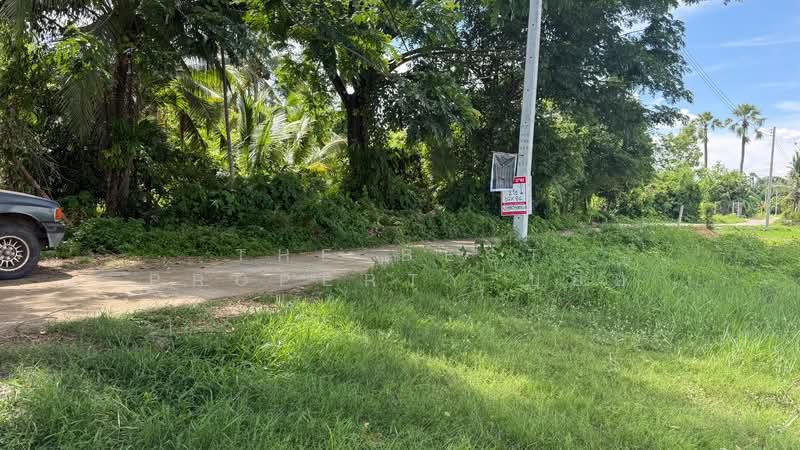 ที่ดินบ้านแป้น ลำพูน, ลำพูน, บ้านแป้น, เมืองลำพูน, ลำพูน, 3,200 ตร.ม., ที่ดิน ขาย, โดย The Best Property บอย, 500343944 - DDproperty.com