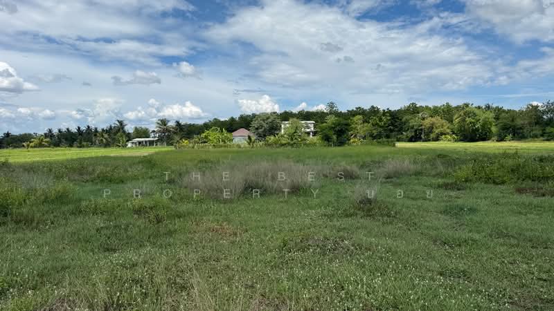 ที่ดินบ้านแป้น ลำพูน, Lamphun, Ban Paen, Muang Lamphun, Lamphun, , 3,200 sqm, Land For Sale, by The Best Property บอย, 500343944 - DDproperty.com