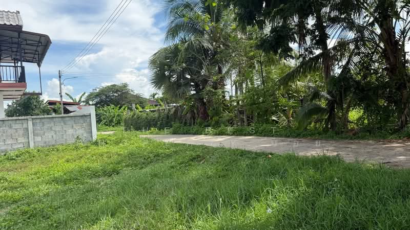 ที่ดินบ้านแป้น ลำพูน, ลำพูน, บ้านแป้น, เมืองลำพูน, ลำพูน, 3,200 ตร.ม., ที่ดิน ขาย, โดย The Best Property บอย, 500343944 - DDproperty.com