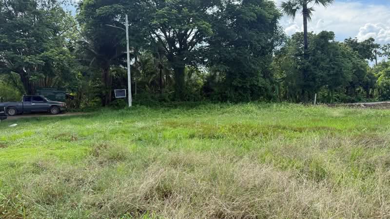 ที่ดินบ้านแป้น ลำพูน, Lamphun, Ban Paen, Muang Lamphun, Lamphun, , 3,200 sqm, Land For Sale, by The Best Property บอย, 500343944 - DDproperty.com