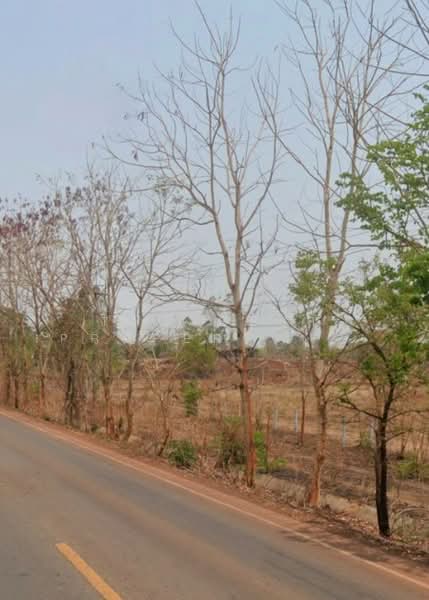 ที่ดินโพนสวรรค์ นครพนม, Nakhon Phanom, Ban Khor, Phon Sawan, Nakhon Phanom, , 38,828 sqm, Land For Sale, by The Best Property ต้อม, 500343983 - DDproperty.com