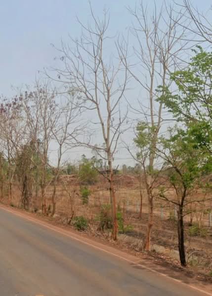 ที่ดินโพนสวรรค์ นครพนม, Nakhon Phanom, Ban Khor, Phon Sawan, Nakhon Phanom, , 38,828 sqm, Land For Sale, by The Best Property ต้อม, 500343983 - DDproperty.com