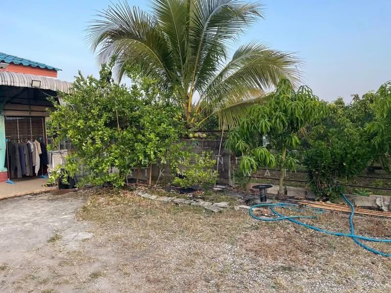 Longan Farm Land, Chiang Mai, Pong Tam, Chai Prakarn, Chiang Mai, , 8,352 sqm, Land For Sale, by Thananit Kraikhiriwat, 500344023 - DDproperty.com