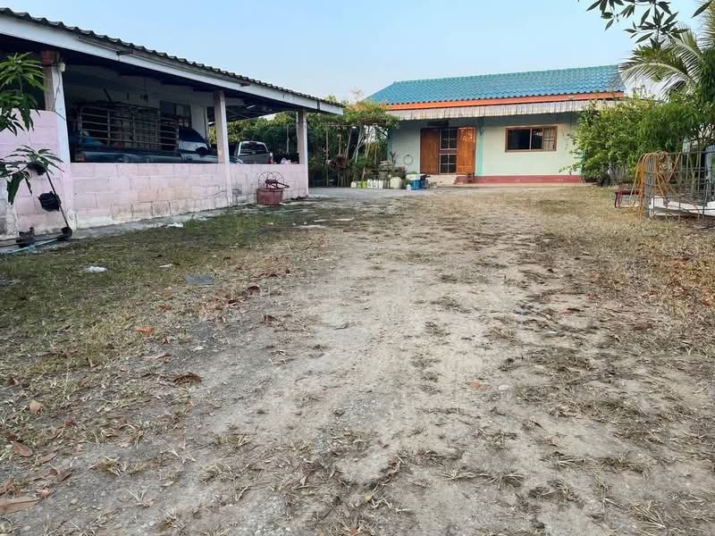 Longan Farm Land, Chiang Mai, Pong Tam, Chai Prakarn, Chiang Mai, , 8,352 sqm, Land For Sale, by Thananit Kraikhiriwat, 500344023 - DDproperty.com