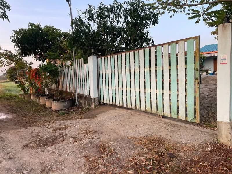 Longan Farm Land, Chiang Mai, Pong Tam, Chai Prakarn, Chiang Mai, , 8,352 sqm, Land For Sale, by Thananit Kraikhiriwat, 500344023 - DDproperty.com