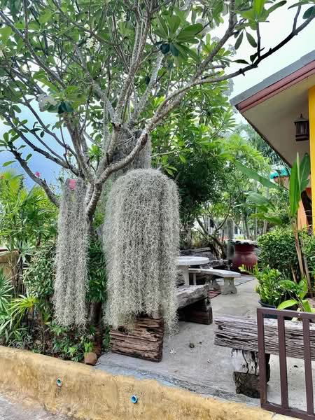 บ้าน 2-ห้องนอน, ประจวบคีรีขันธ์, ปากน้ำปราณ, ปราณบุรี, ประจวบคีรีขันธ์, 93 ตร.ม., บ้านเดี่ยว ขาย, โดย Woramet Jiemdumnernkit, 500344304 - DDproperty.com