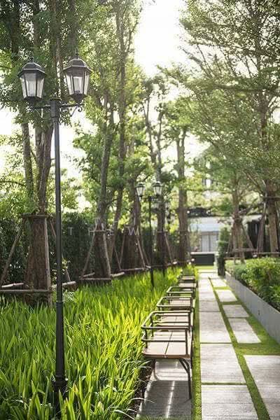 The Base Park West Sukhumvit 77, Bangkok, 11 Soi Sukhumvit 77 Sukhumvit Road, Phra Kanong Nua, Watthana, Bangkok, 1 Bedroom, 28 sqm, Condo For Rent, by Thida Thewinram, 500344362 - DDproperty.com