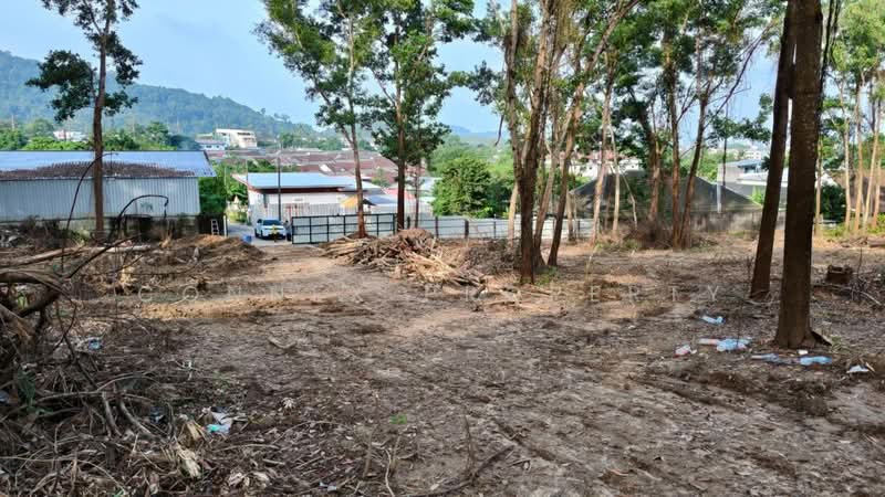 land 20-1-0 rai Chalong Phuket, Phuket, เจ้าฟ้าตะวันตก, Chalong, Muang Phuket, Phuket, , 32,400 sqm, Land For Sale, by Connex Property, 500344519 - DDproperty.com