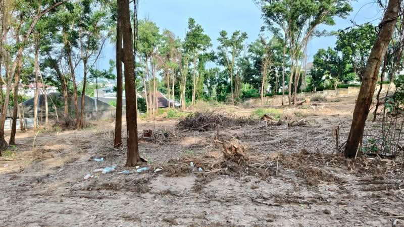 land 20-1-0 rai Chalong Phuket, Phuket, เจ้าฟ้าตะวันตก, Chalong, Muang Phuket, Phuket, , 32,400 sqm, Land For Sale, by Connex Property, 500344519 - DDproperty.com